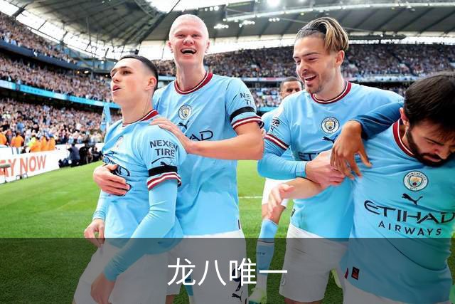 龙八唯一公司介绍图